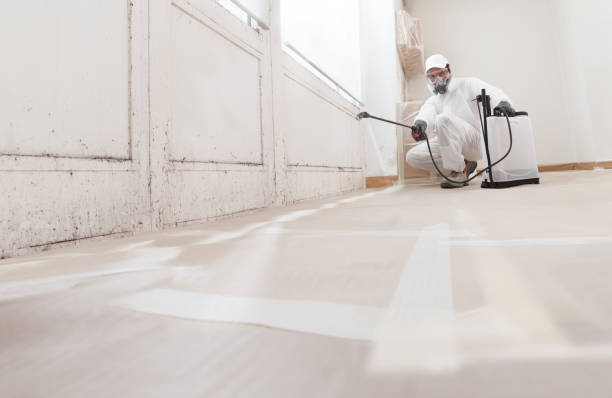 24/7 Emergency Basement Mold Removal experts in Huntingdon Valley, PA