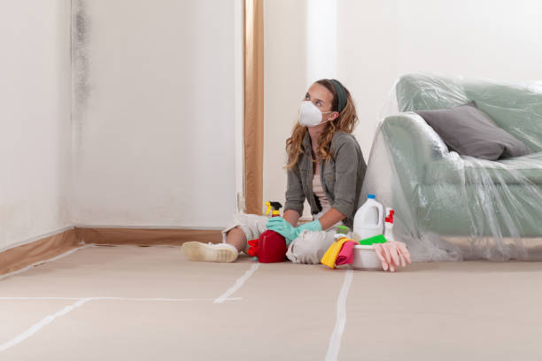 Reliable Basement Mold Removal contractor in Huntingdon Valley, PA by WQB Mold Removal